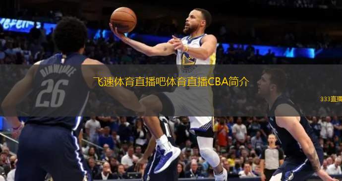 维尼修斯的