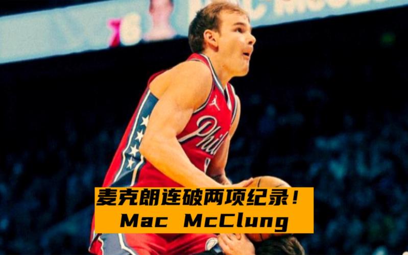 自成立以来