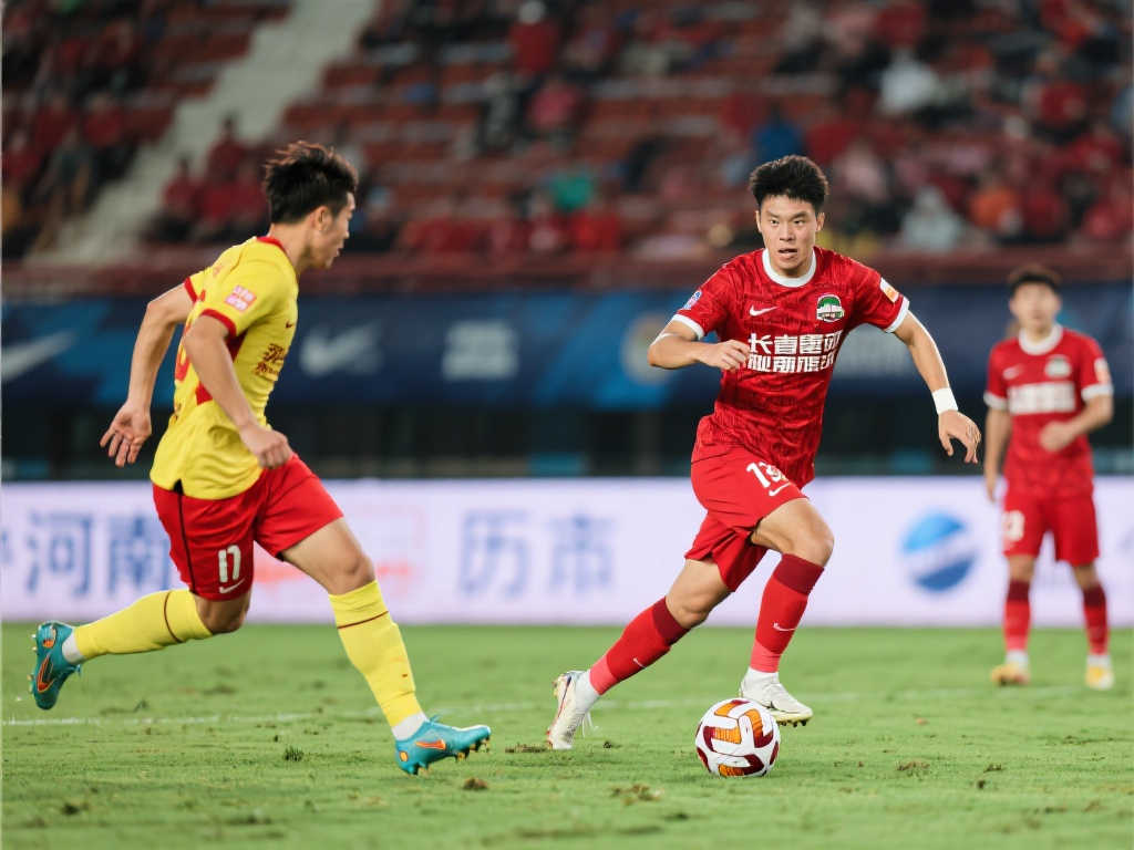 质性的提高 质性的提高