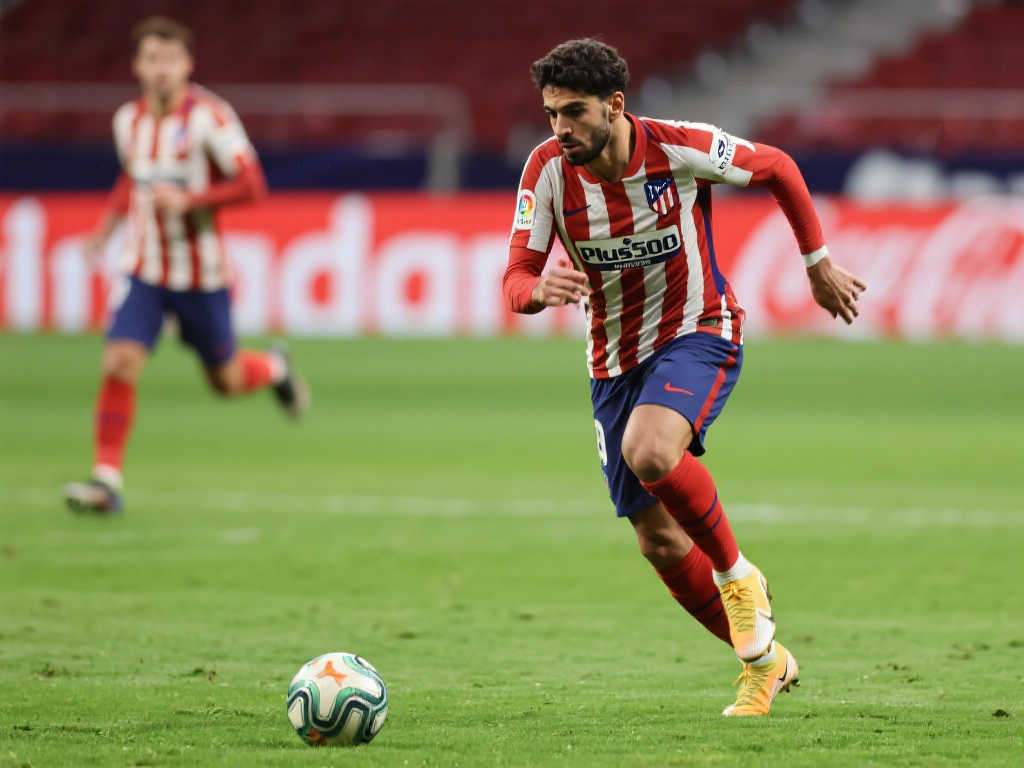 个百分点 个百分点