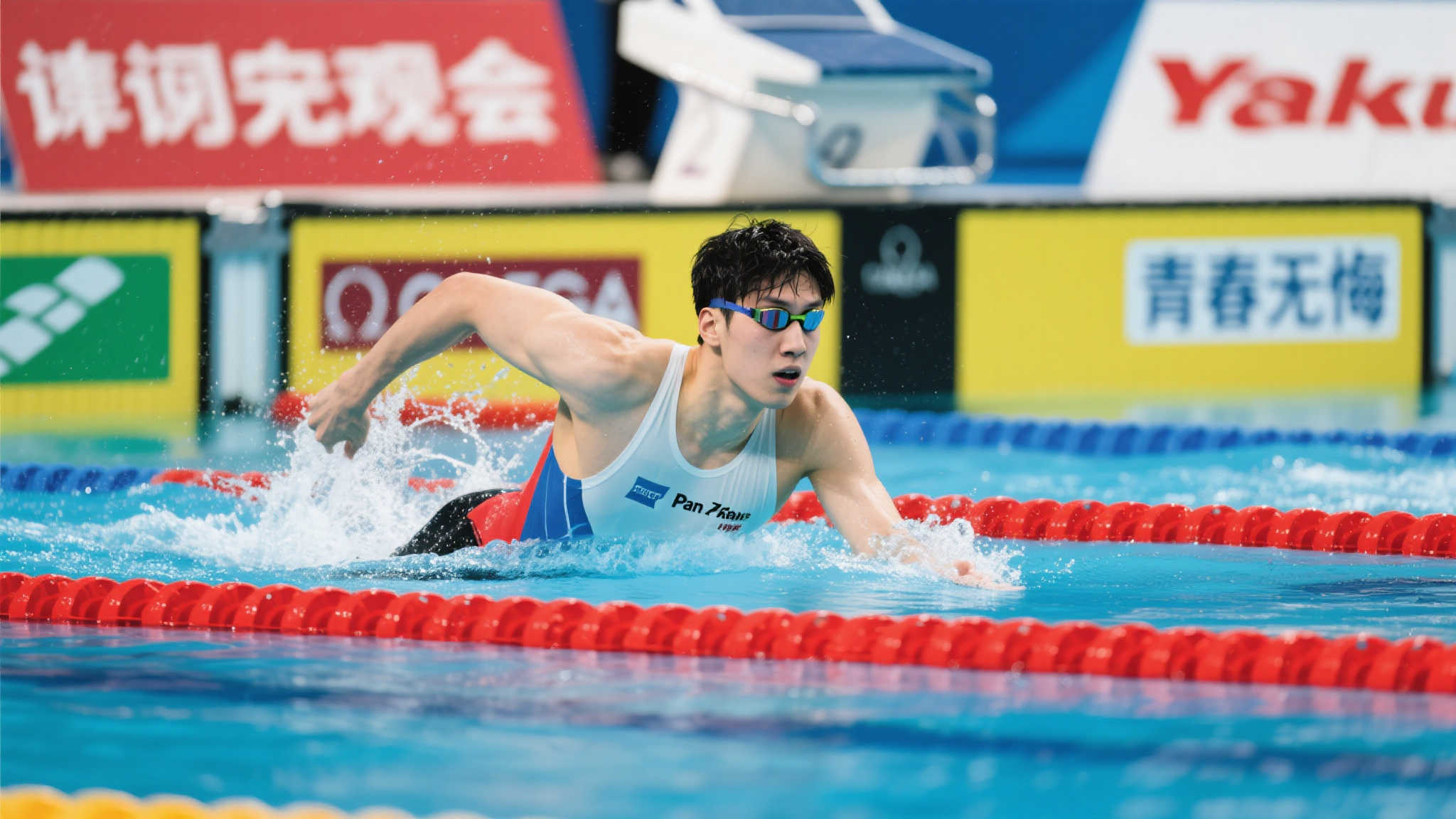 坎普斯与部 坎普斯与部